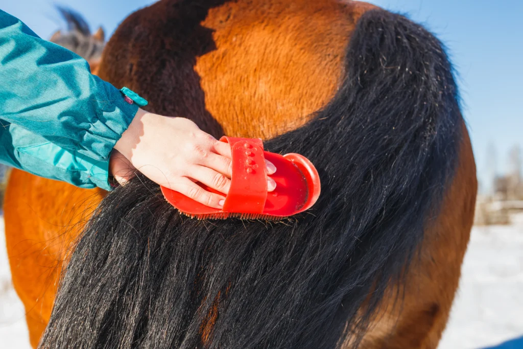 Horse Brush